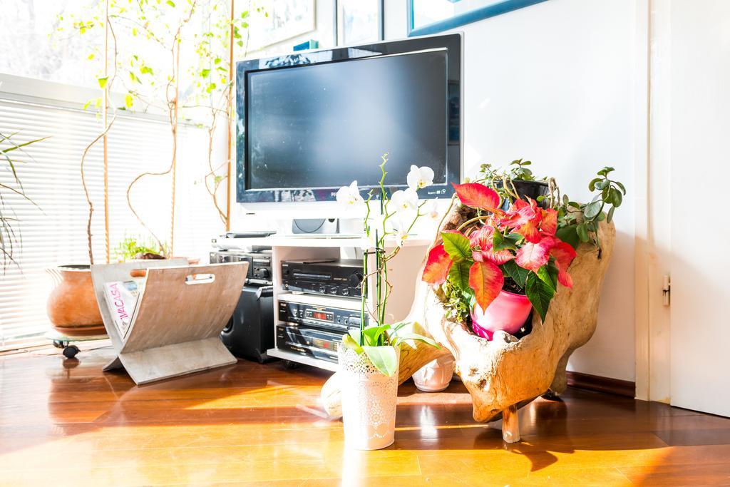 Apartment Rina ドゥブロブニク 部屋 写真